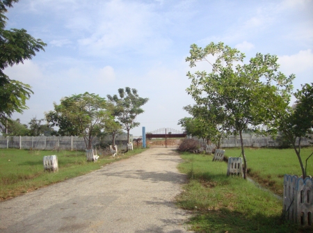 2) Commercial Land for Sale Near to IIT College Yerpedu.JPG